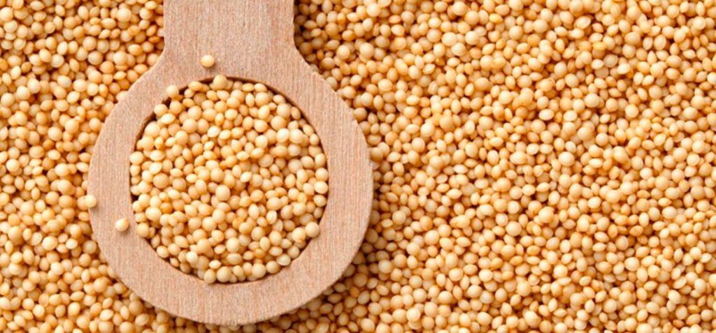 Amaranto, el cereal de los astronautas
