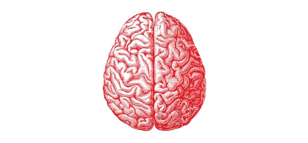 Mantén en forma tu cerebro