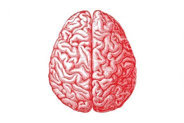 Mantén en forma tu cerebro