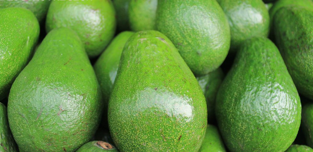 Aguacate