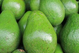 Aguacate