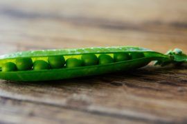 EDAMAME